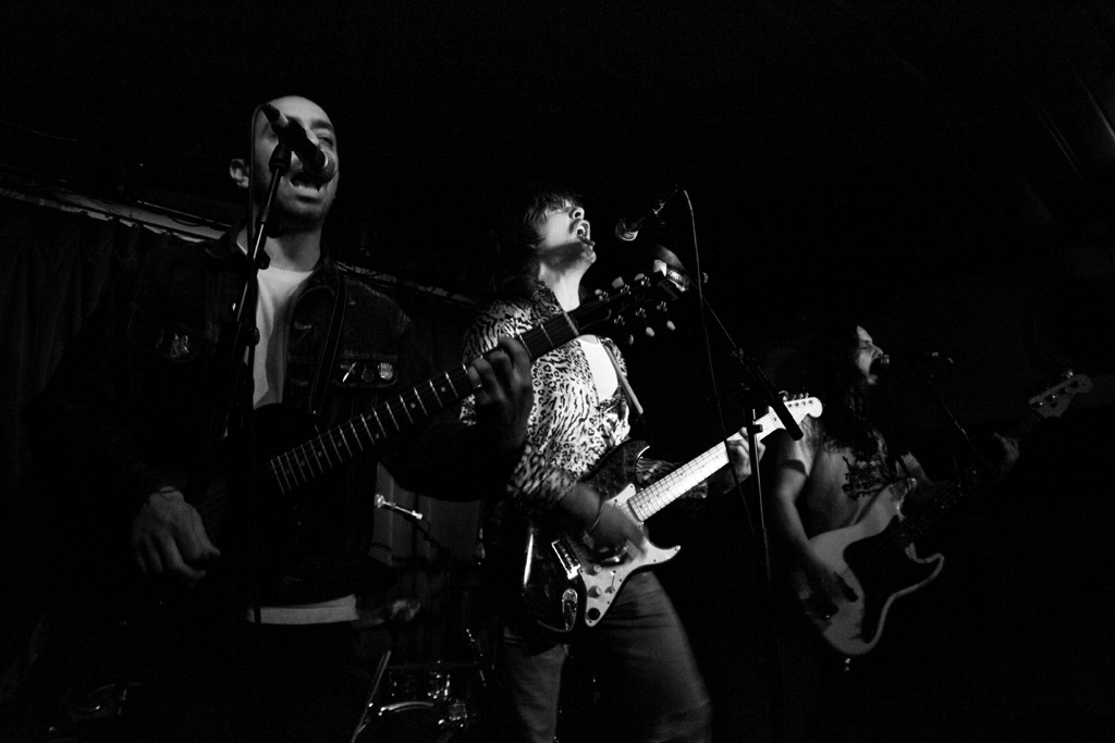 2014-01-28_DirtyFences-
