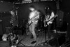 2014-01-28_DirtyFences-12