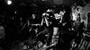 2016-02-20_FluFluBirds-01