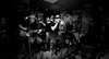 2016-02-20_FluFluBirds-03