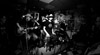 2016-02-20_FluFluBirds-04