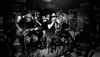 2016-02-20_FluFluBirds-05