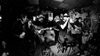 2016-02-20_FluFluBirds-06