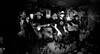2016-02-20_FluFluBirds-07