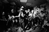 2016-02-20_FluFluBirds-10