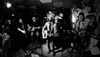 2016-02-20_FluFluBirds-11
