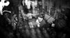 2016-02-20_FluFluBirds-15