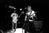2013-04-24_SpiderBabies-03