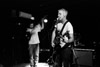2013-04-24_SpiderBabies-04