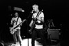 2013-04-24_SpiderBabies-05