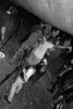 2011-06-03_TolEressea-15