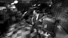 2019-06-15_Tuco-03